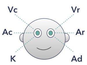 Schema Accessi Oculari