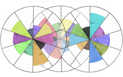 Un ruota per ogni area della tua vita