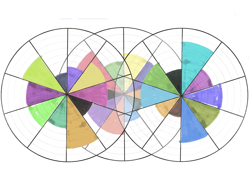 Un ruota per ogni area della tua vita